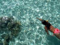bora bora snorkeling 9 